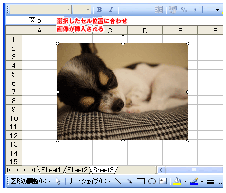 Excel(エクセル)写真の挿入